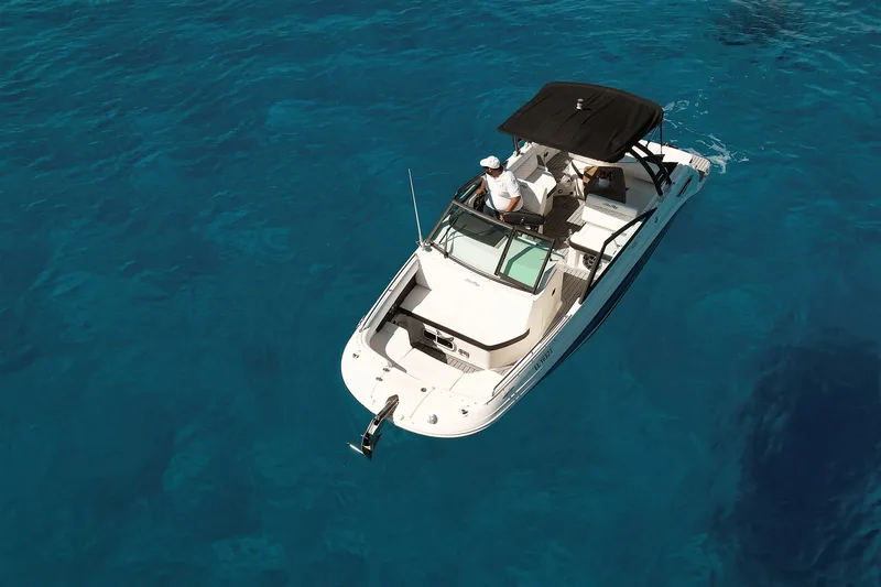 Sea Ray SDX 250