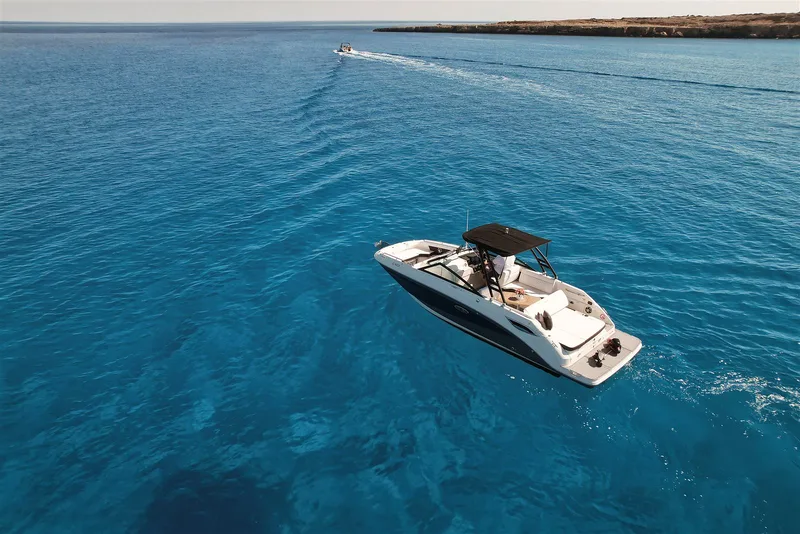 Sea Ray SDX 250